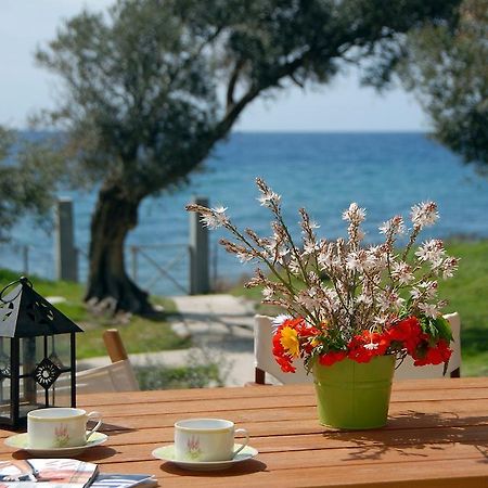 Melinda Holiday House بلوماريوس الغرفة الصورة