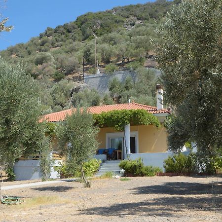 Melinda Holiday House بلوماريوس المظهر الخارجي الصورة